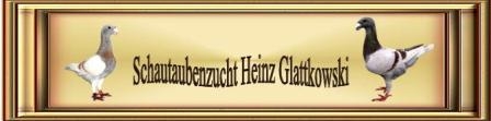 Banner Heinz302
